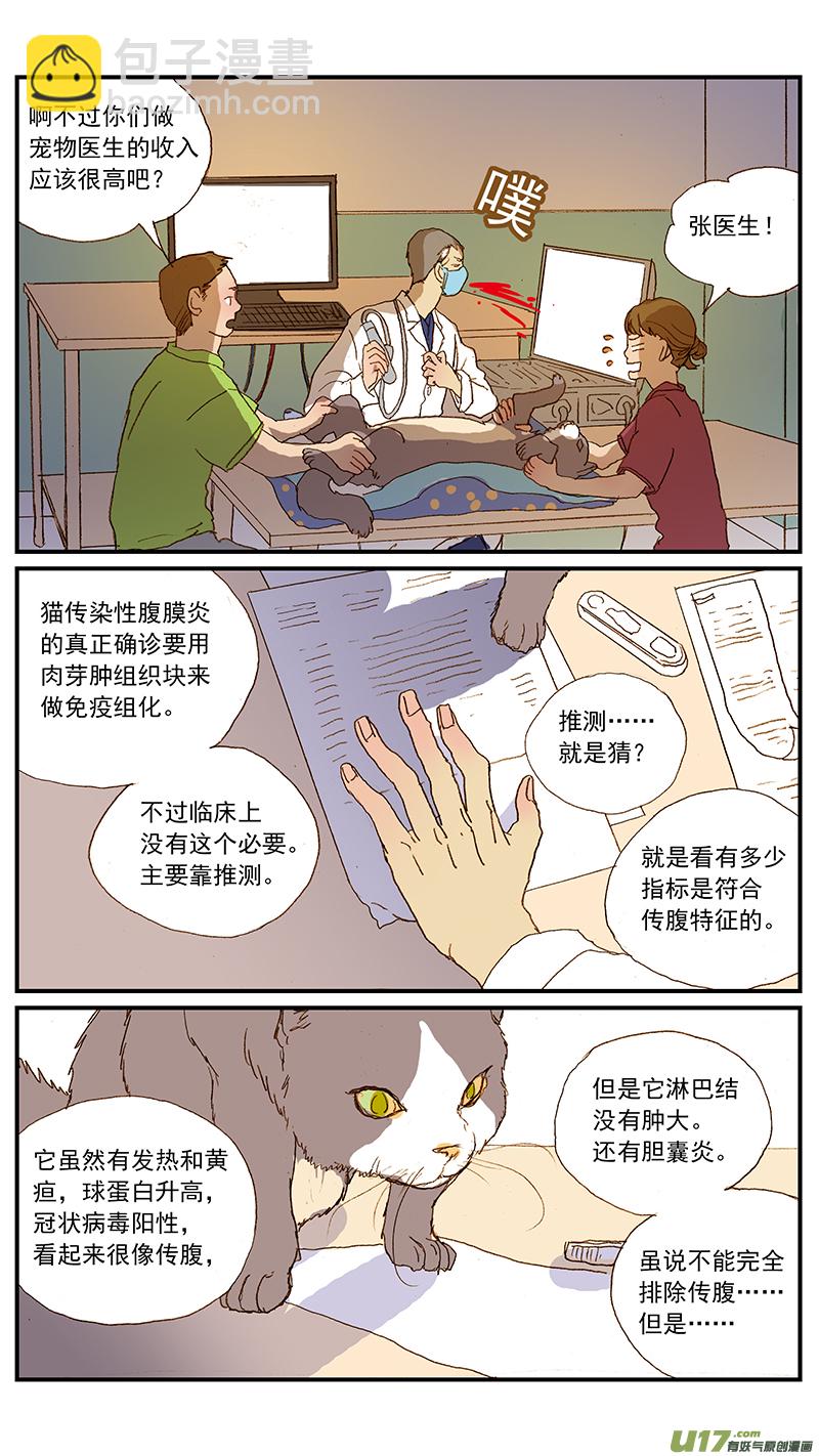 131 猫胆囊炎-第131话