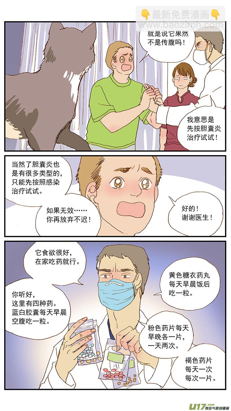 131 猫胆囊炎-第131话