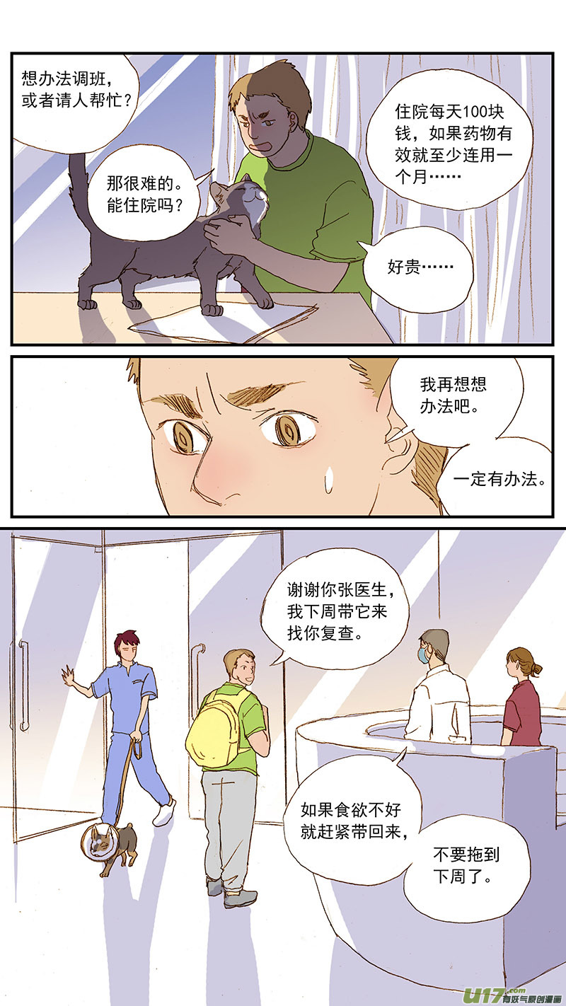 131 猫胆囊炎-第131话