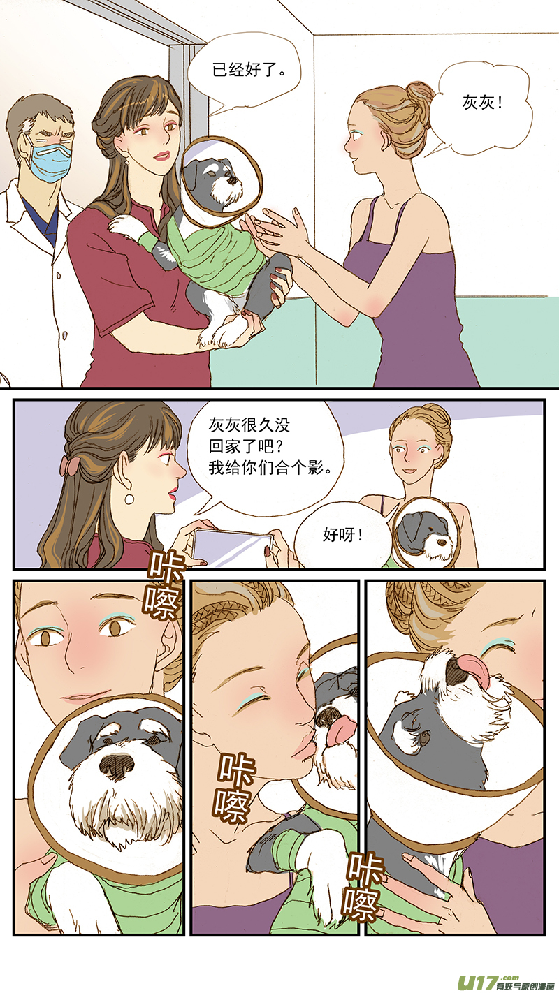 142 宠物诊疗机构公示看板-第143话