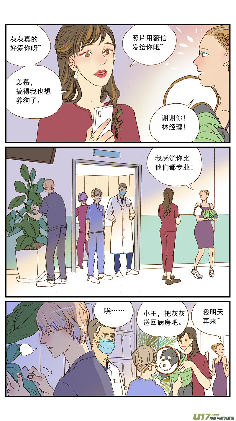 142 宠物诊疗机构公示看板-第143话