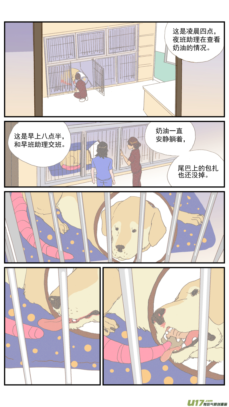 152 动物突然晕倒怎么办-第153话