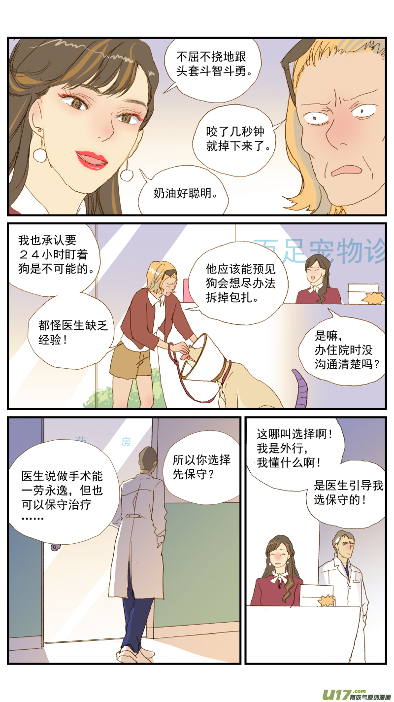 152 动物突然晕倒怎么办-第153话