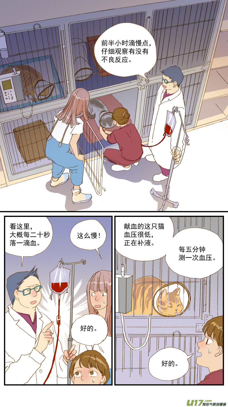 154 免疫介导性溶血性贫血-第155话