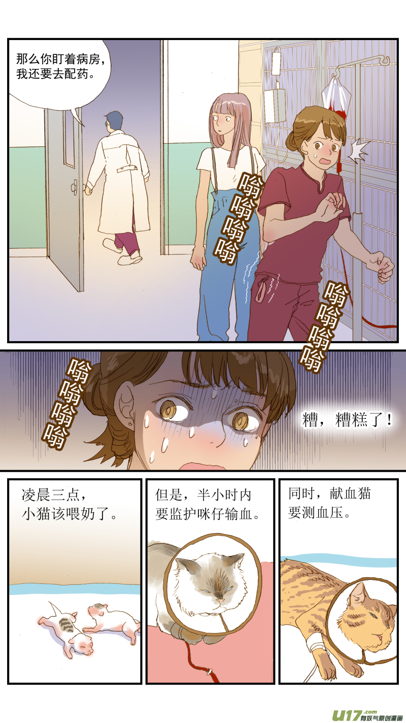 154 免疫介导性溶血性贫血-第155话