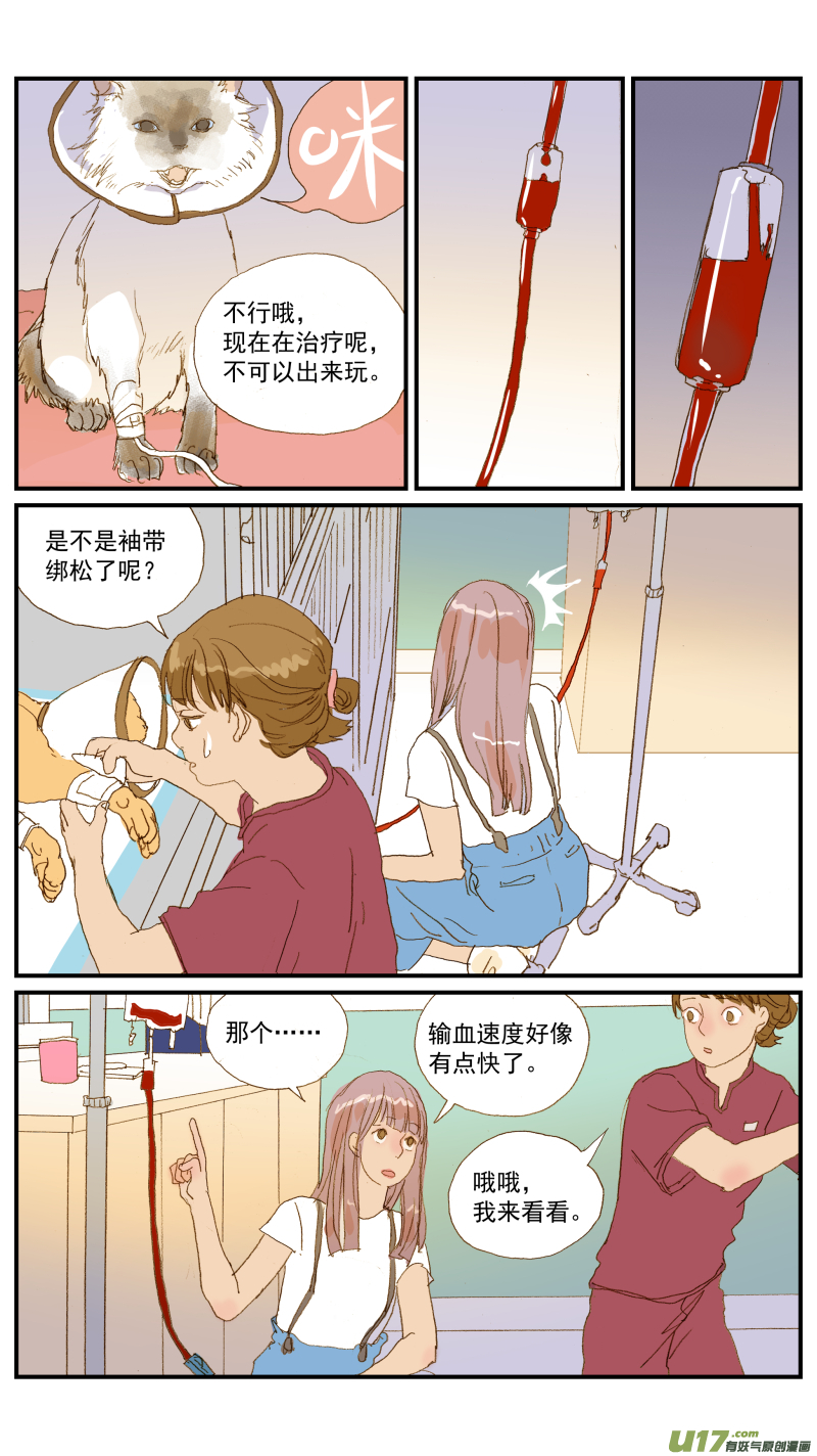 154 免疫介导性溶血性贫血-第155话