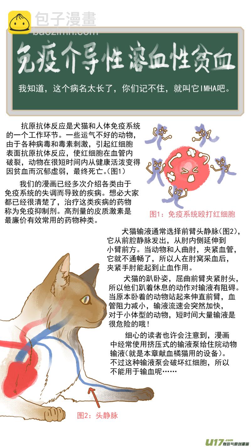 154 免疫介导性溶血性贫血-第155话
