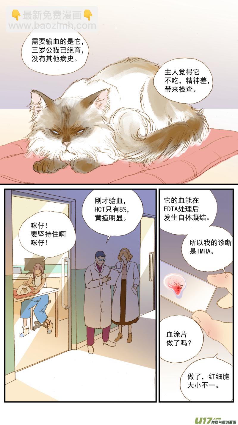 154 免疫介导性溶血性贫血-第155话