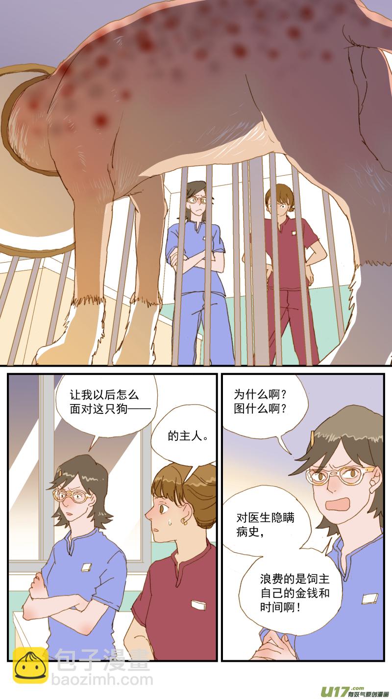 164 细菌培养和药敏试验-第165话