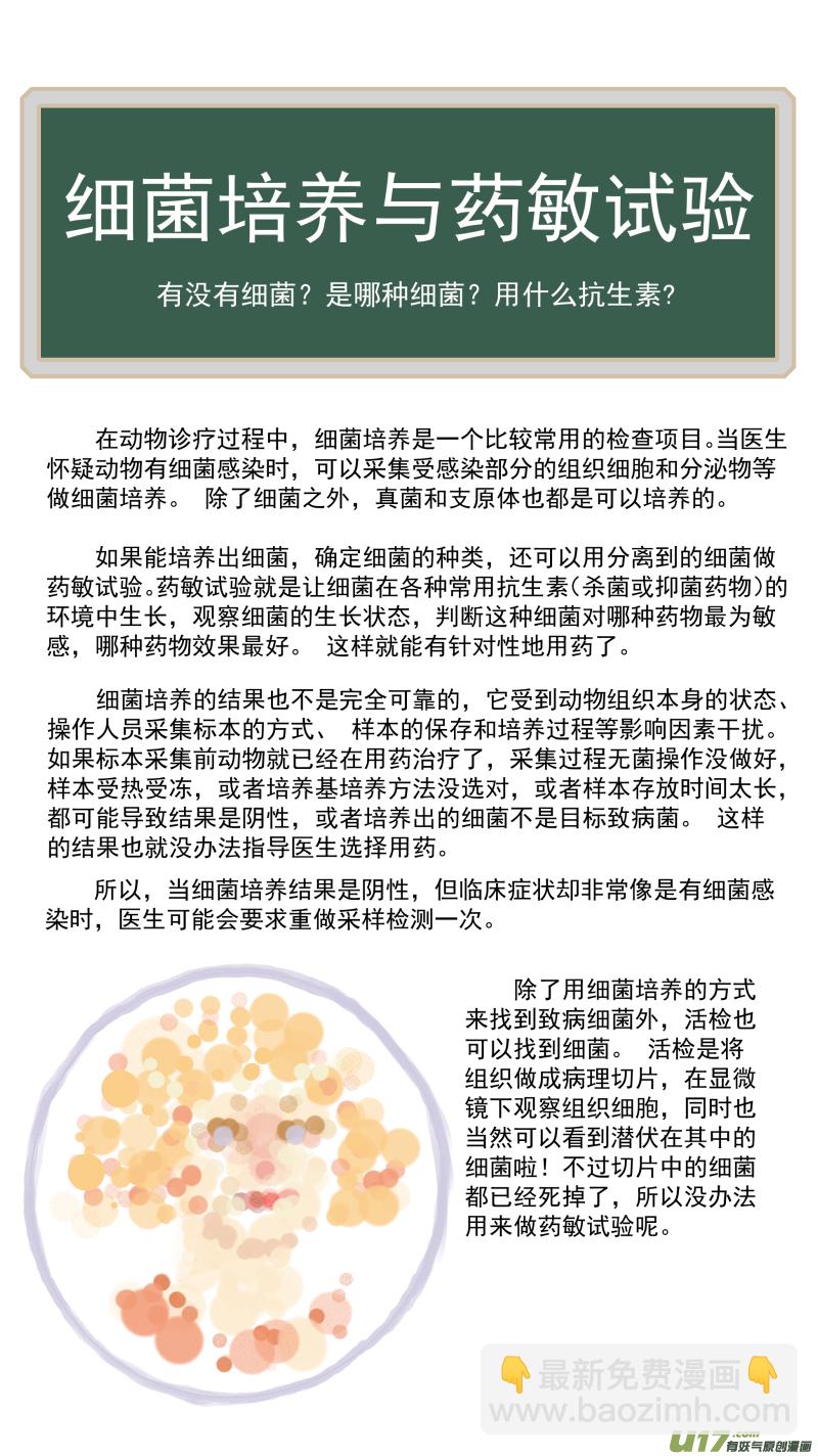 164 细菌培养和药敏试验-第165话