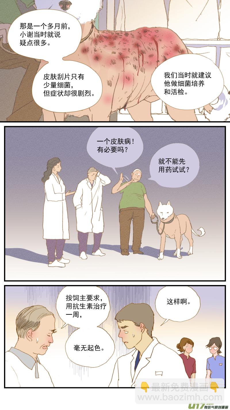 164 细菌培养和药敏试验-第165话