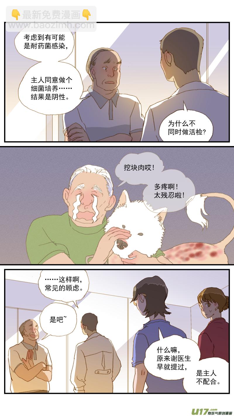 164 细菌培养和药敏试验-第165话