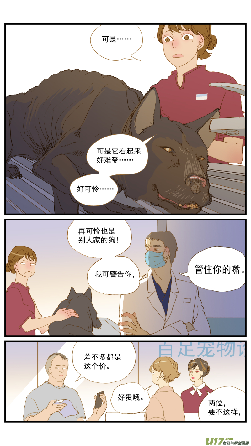 百足寵物診所 - 168 犬糖尿病 - 3