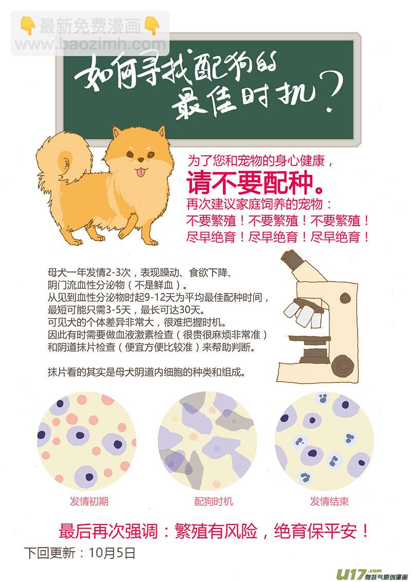 025 犬阴道抹片-第25话