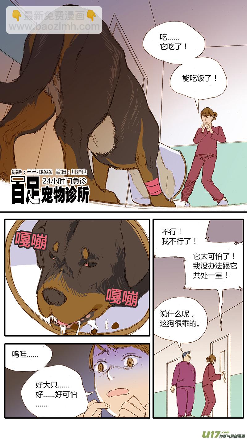 百足寵物診所 - 031 仔犬斷尾 - 2