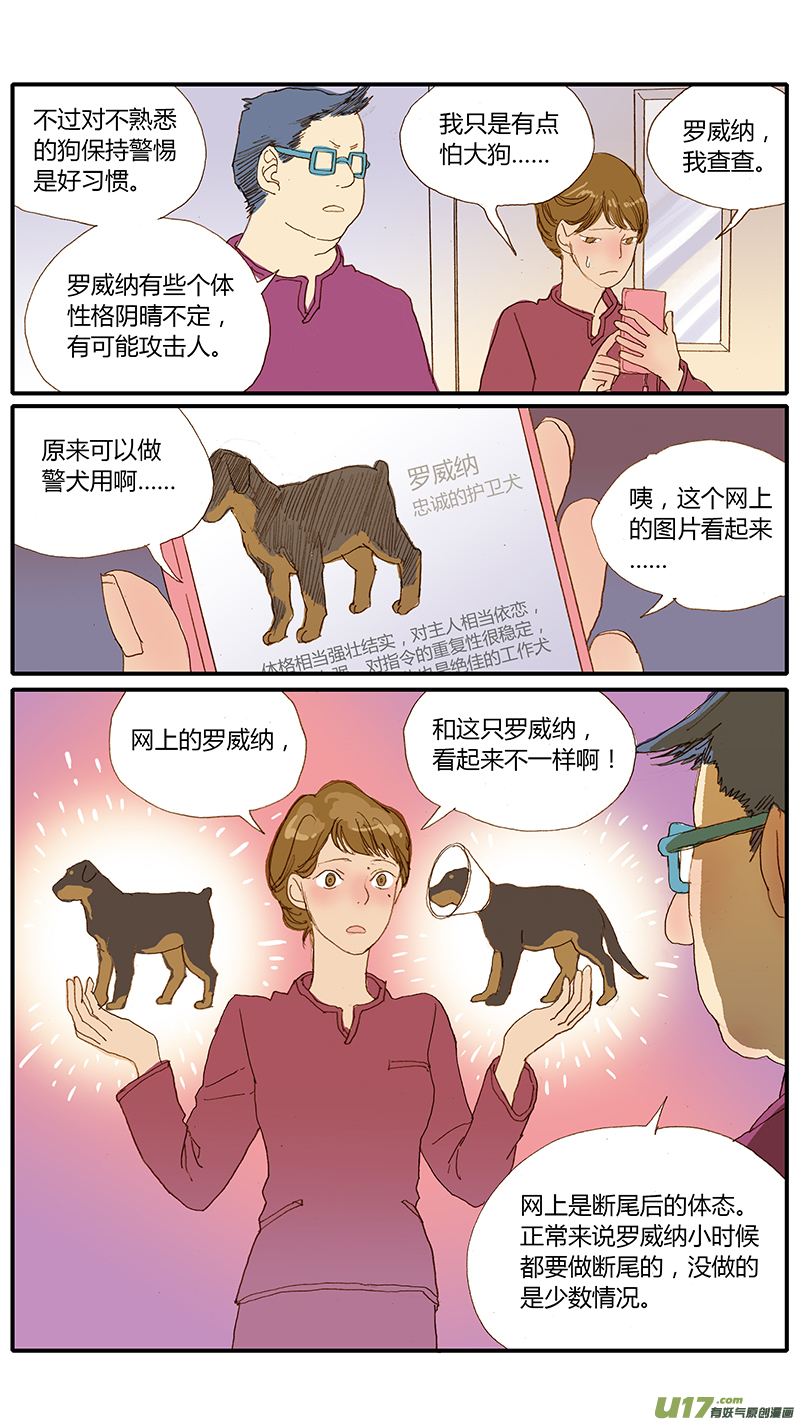 百足寵物診所 - 031 仔犬斷尾 - 3