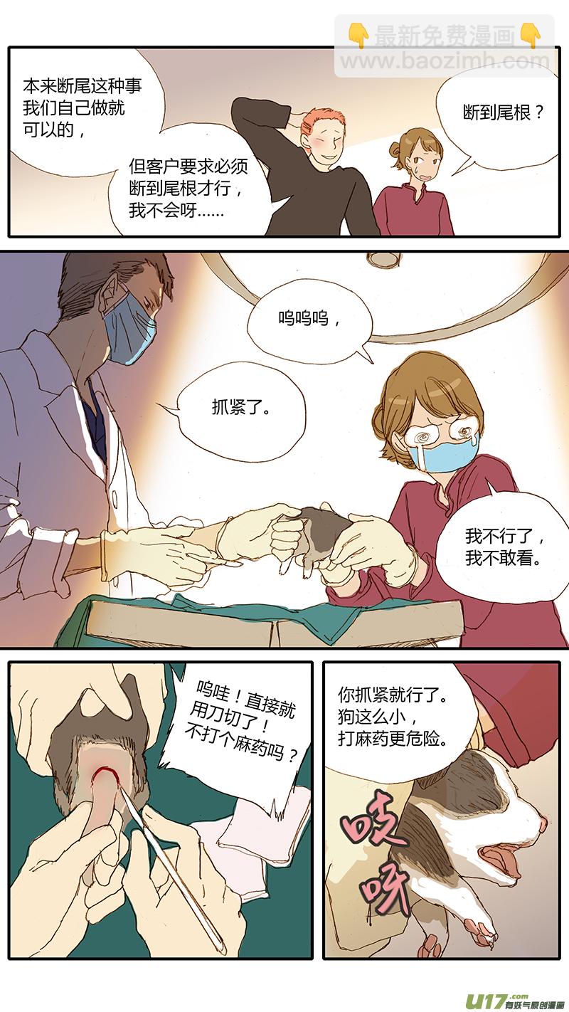 031 仔犬断尾-第31话