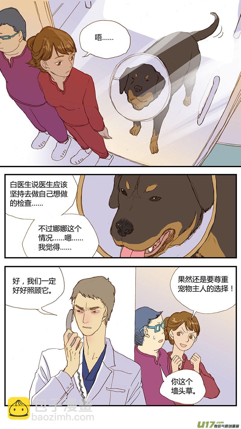 033 犬库欣氏症-第33话