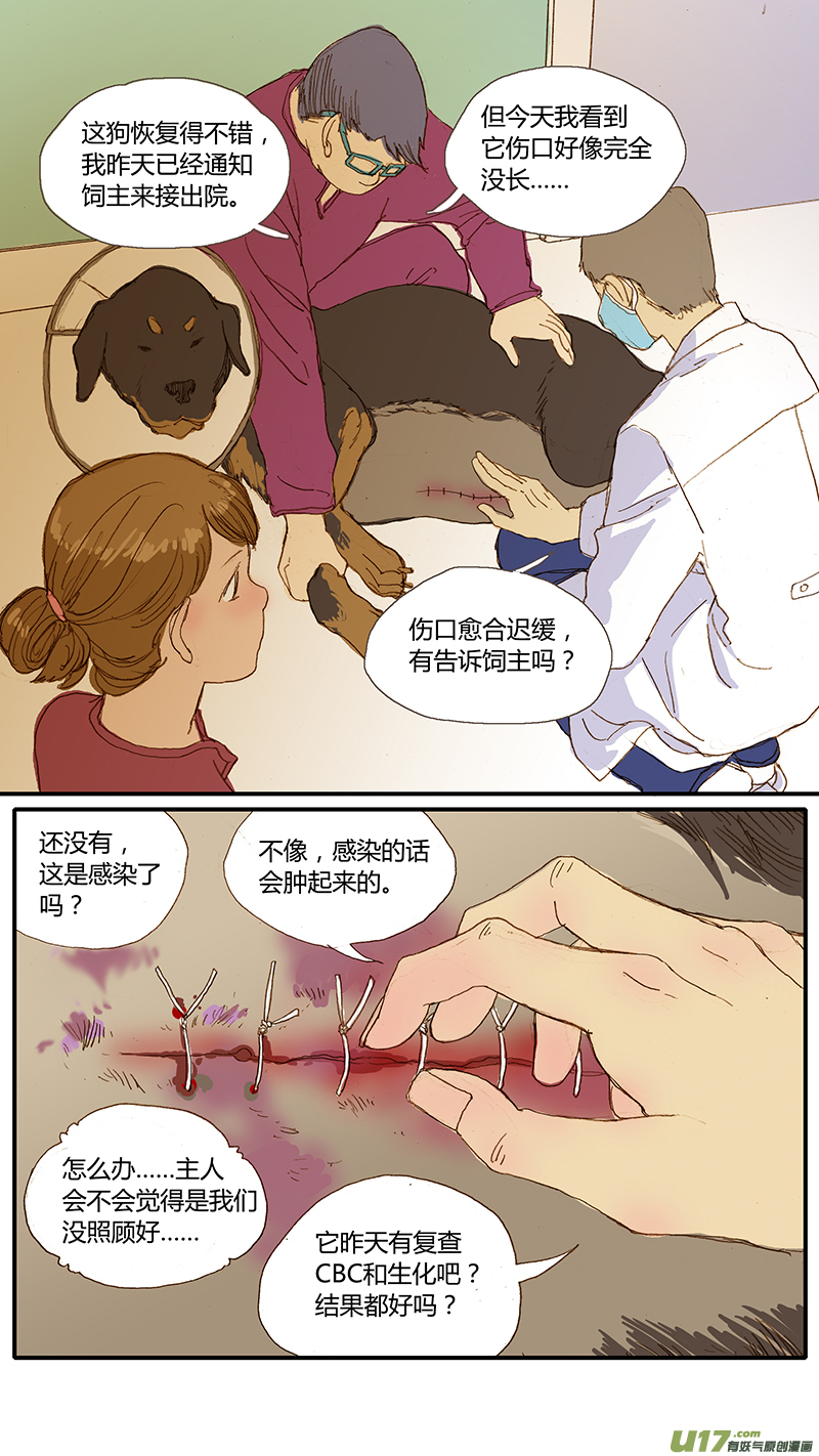 033 犬库欣氏症-第33话