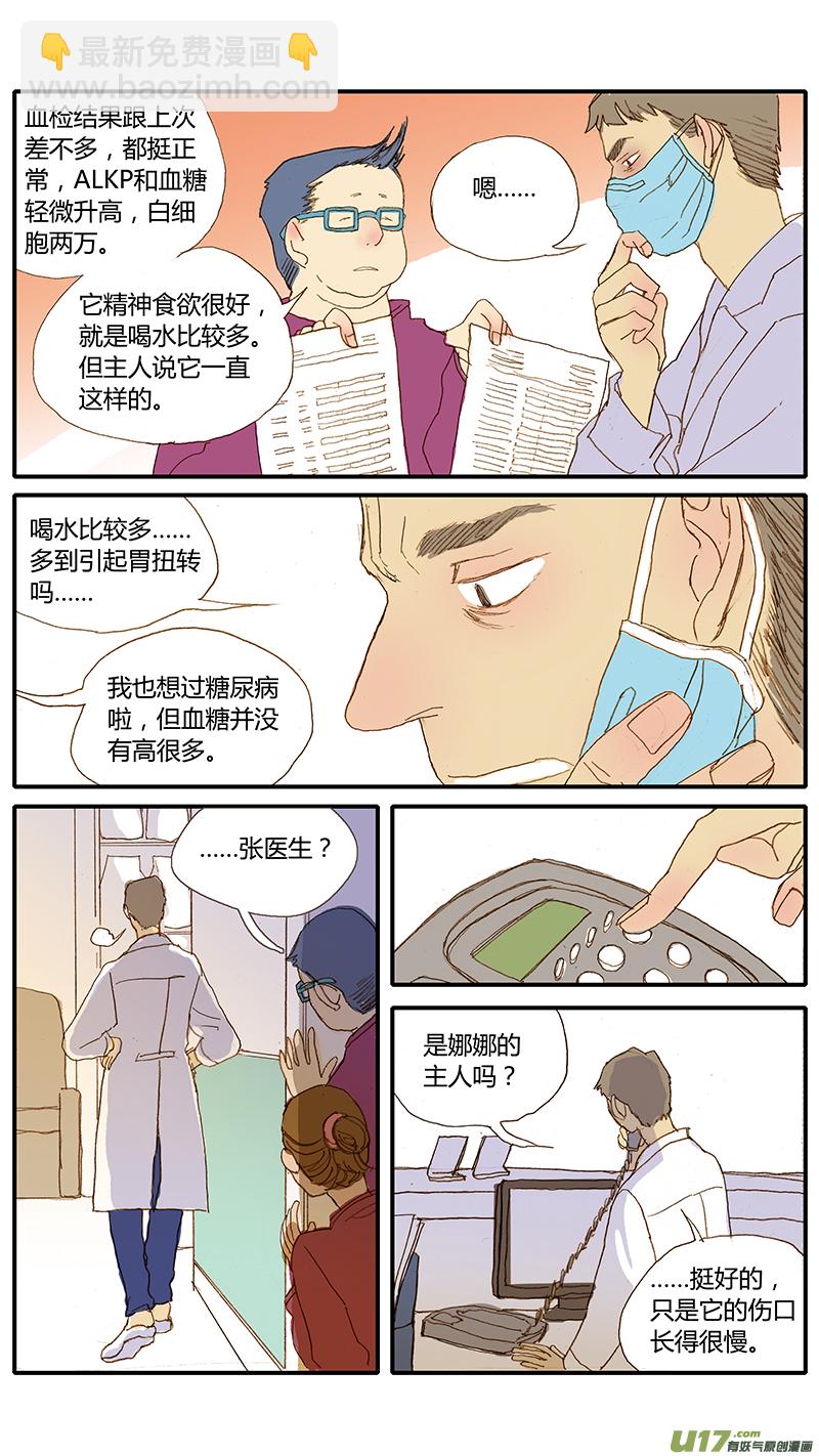 033 犬库欣氏症-第33话