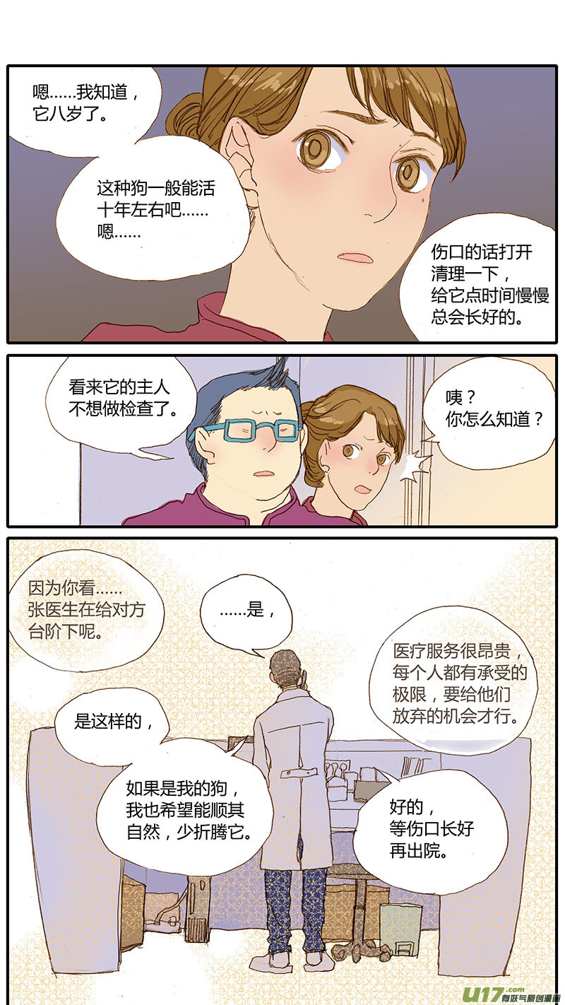 033 犬库欣氏症-第33话