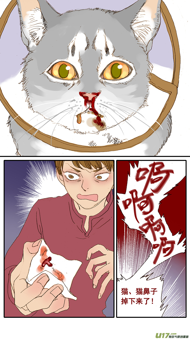 037 猫杯状病毒-第37话