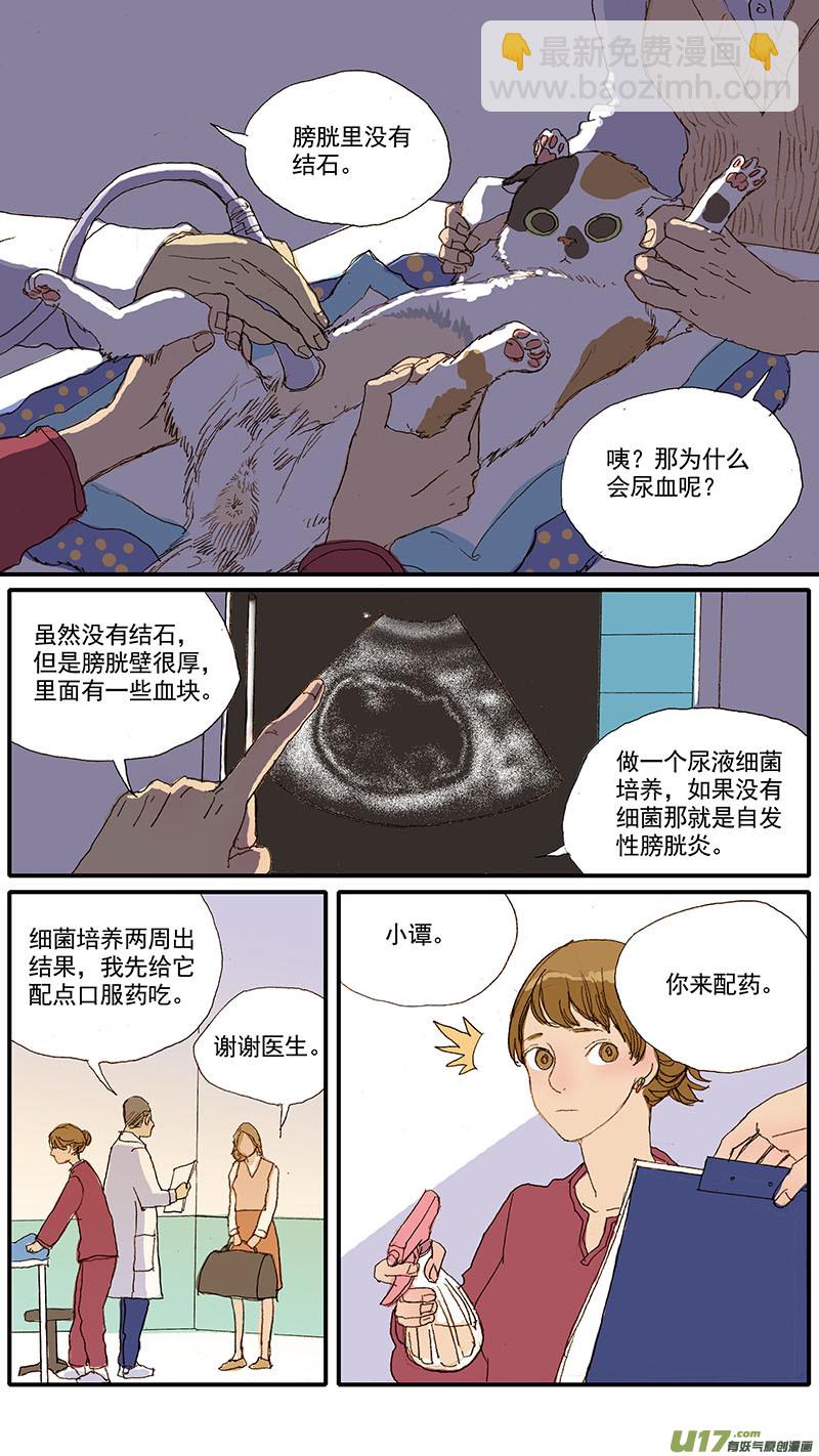 037 猫杯状病毒-第37话