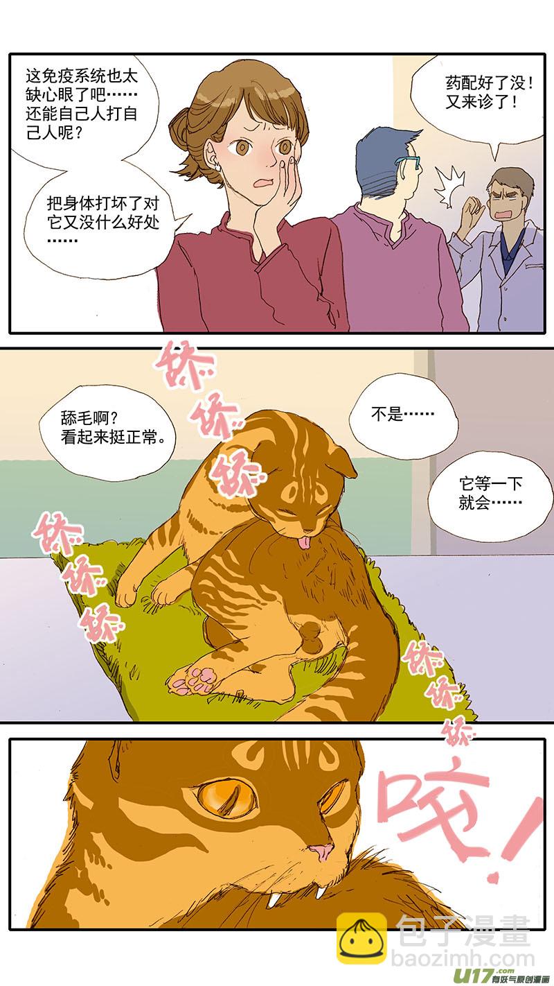 037 猫杯状病毒-第37话