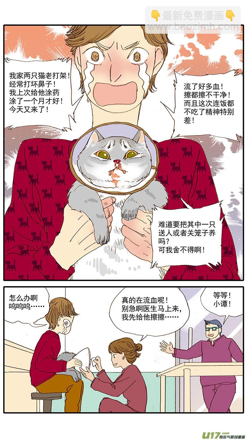 037 猫杯状病毒-第37话
