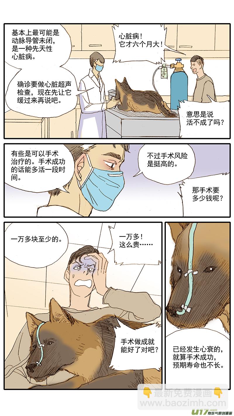 043 动脉导管未闭-第43话