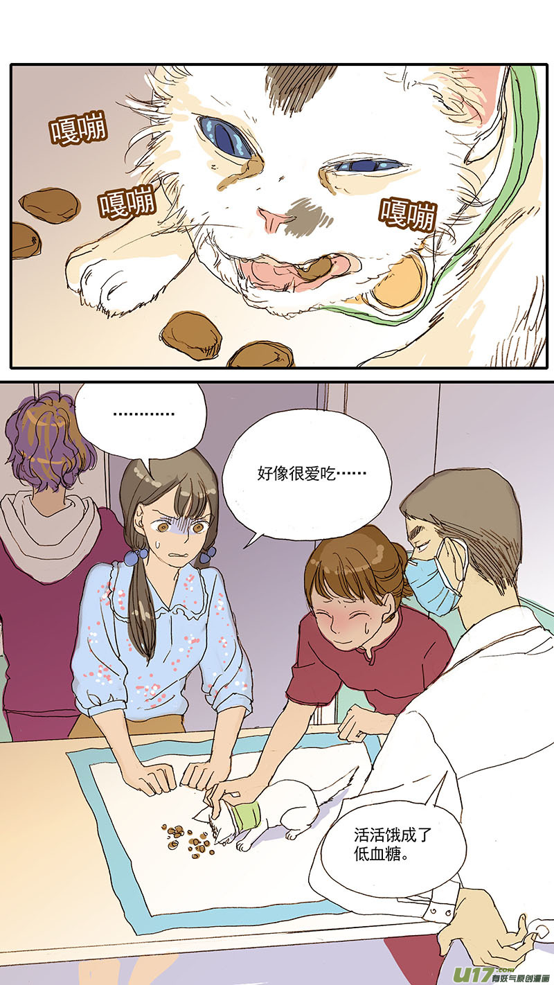 047 低血糖：奶猫到底吃什么？-第47话