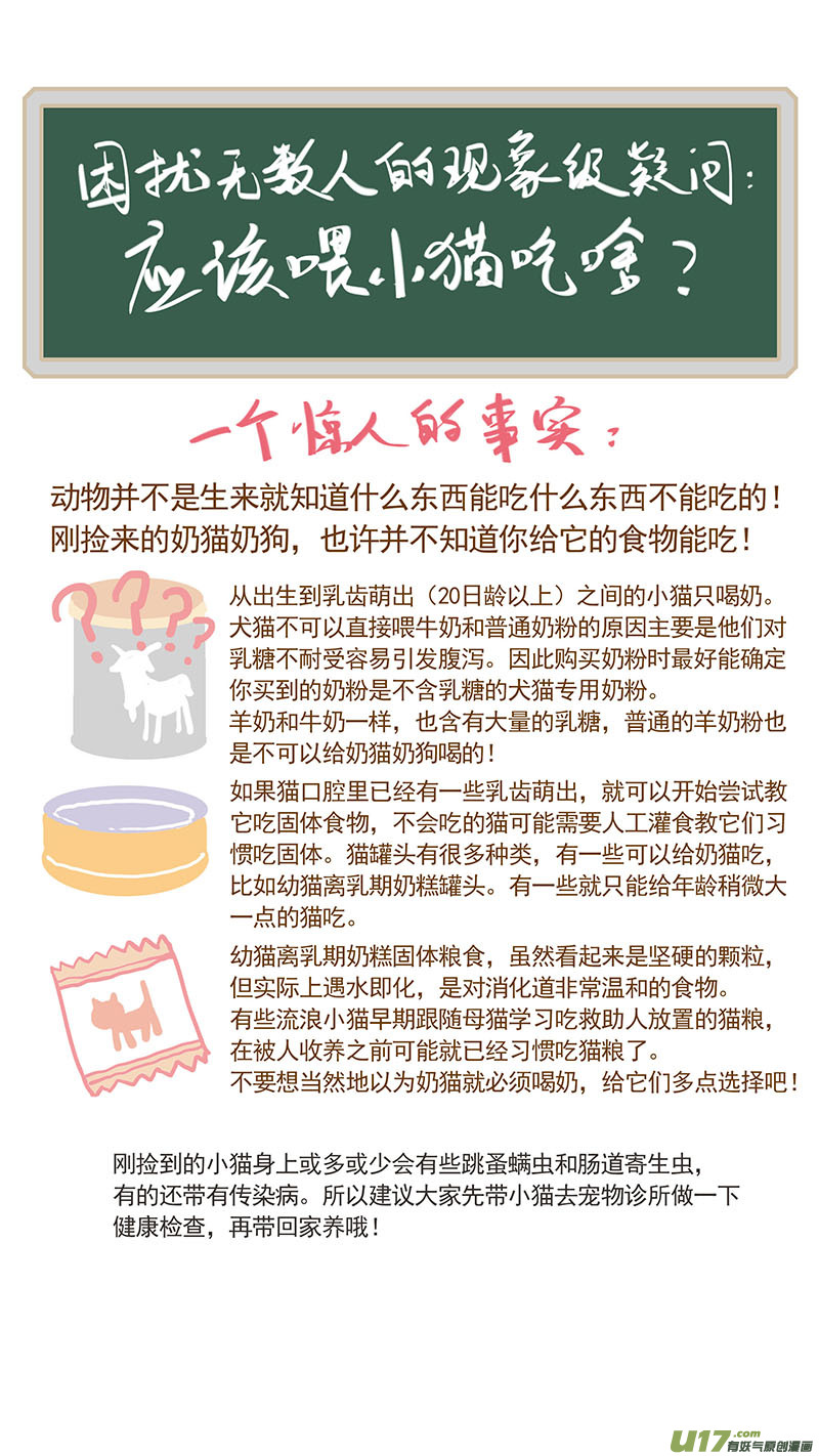 047 低血糖：奶猫到底吃什么？-第47话