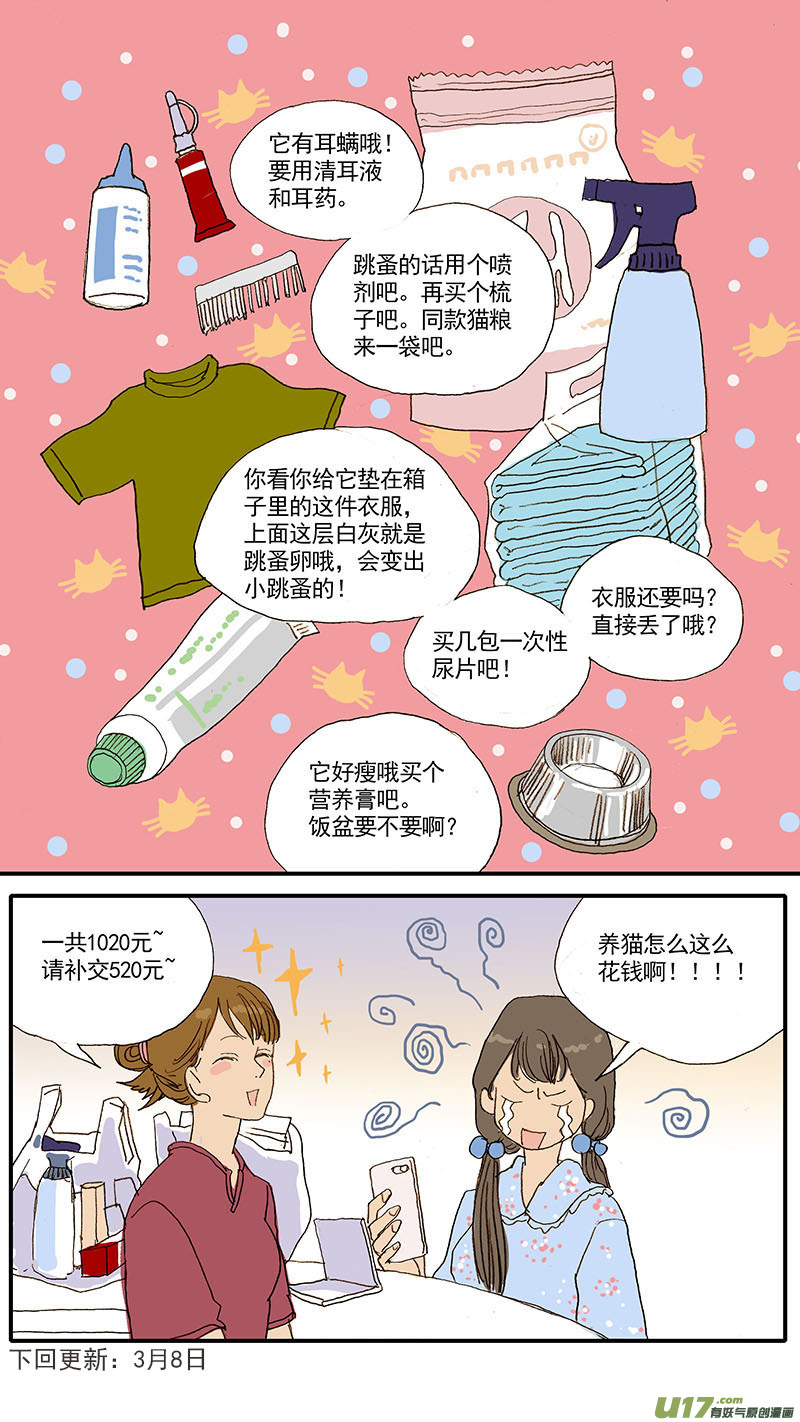 047 低血糖：奶猫到底吃什么？-第47话