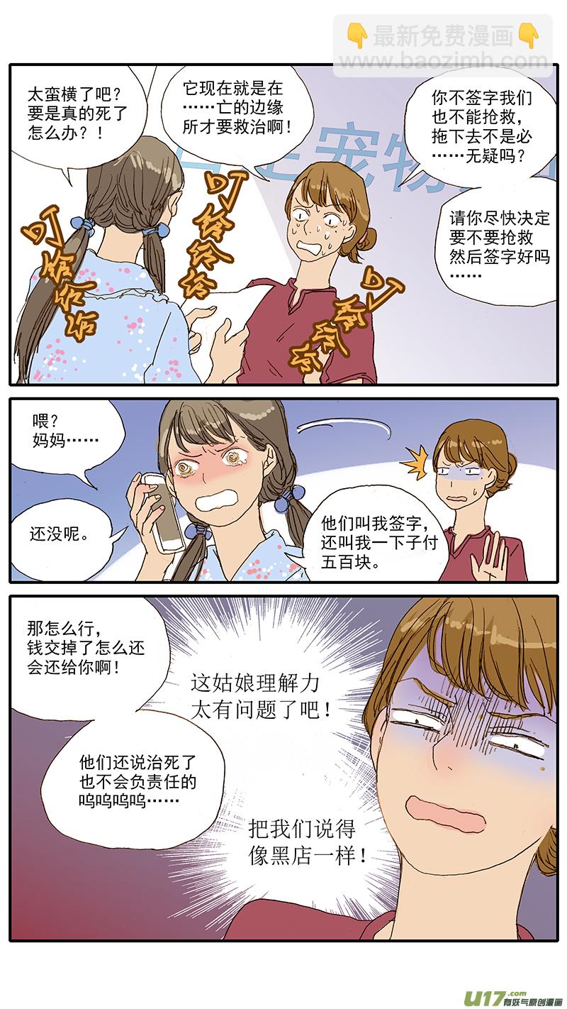 047 低血糖：奶猫到底吃什么？-第47话