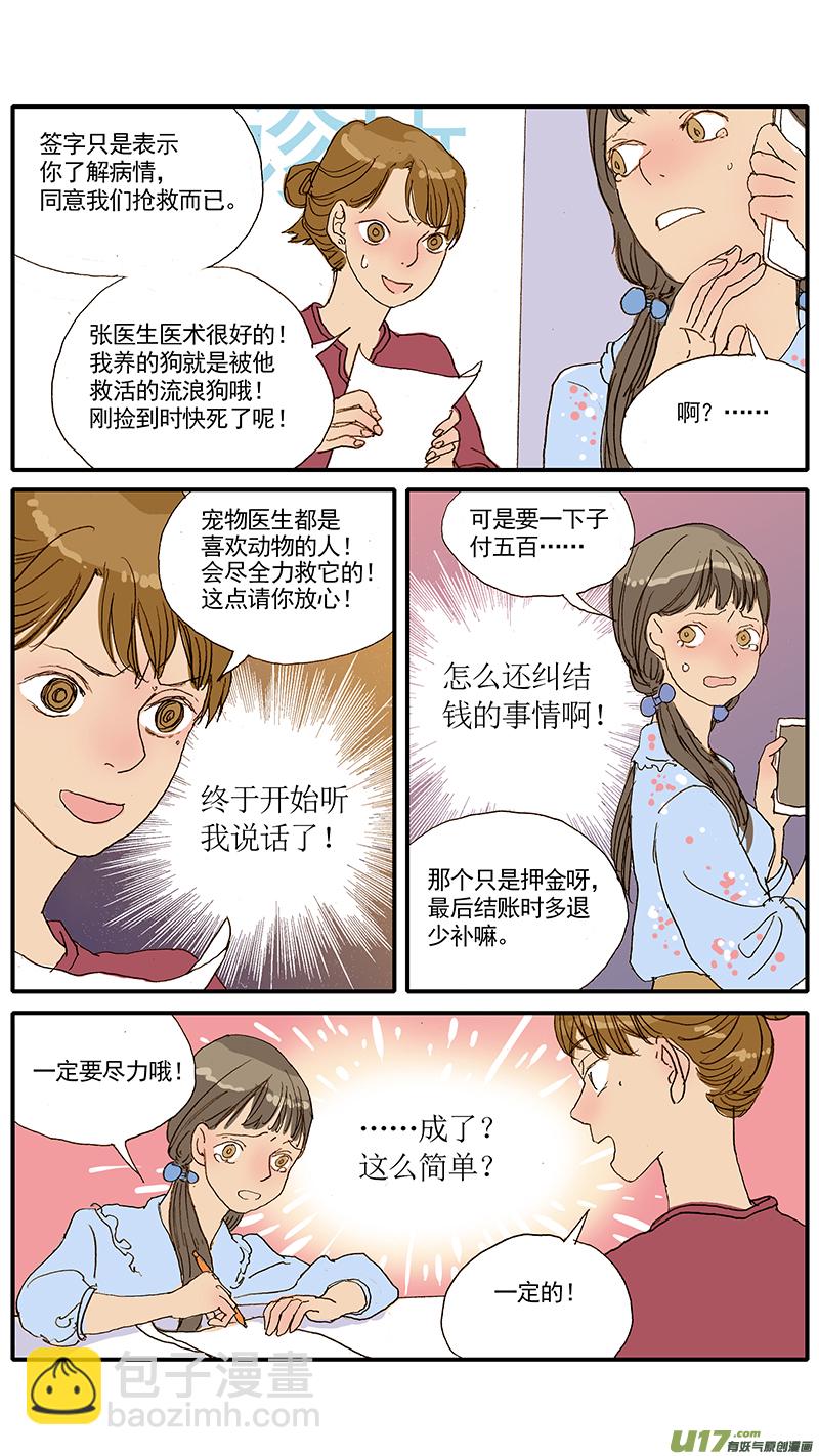 百足寵物診所 - 047 低血糖：奶貓到底吃什麼？ - 1