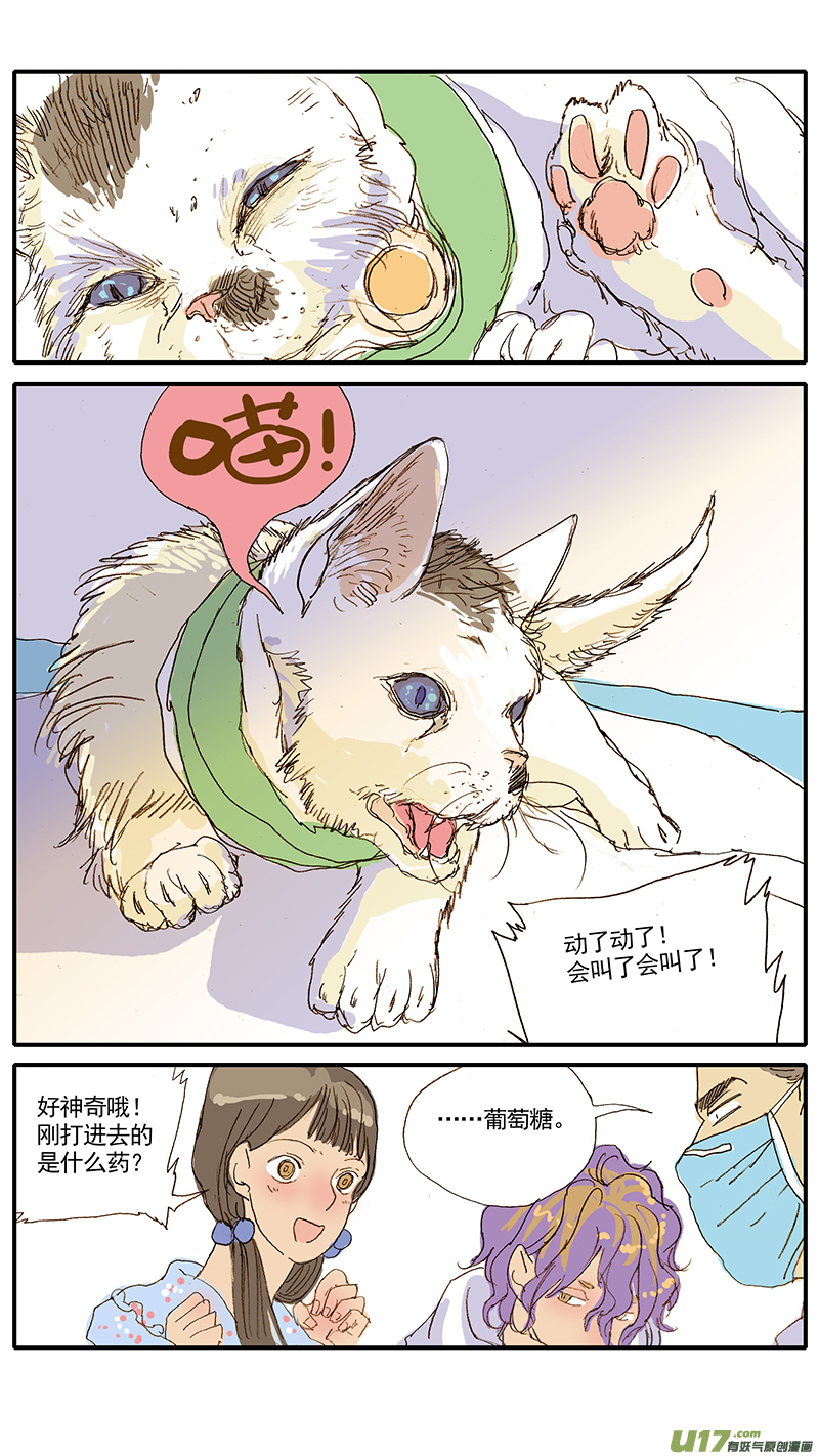 047 低血糖：奶猫到底吃什么？-第47话