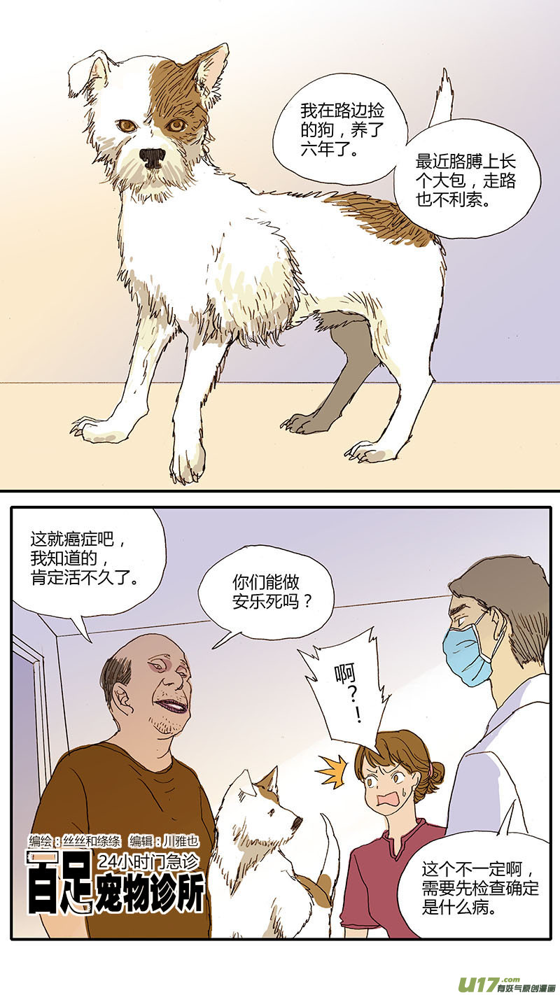 百足寵物診所 - 049 安樂死 - 1
