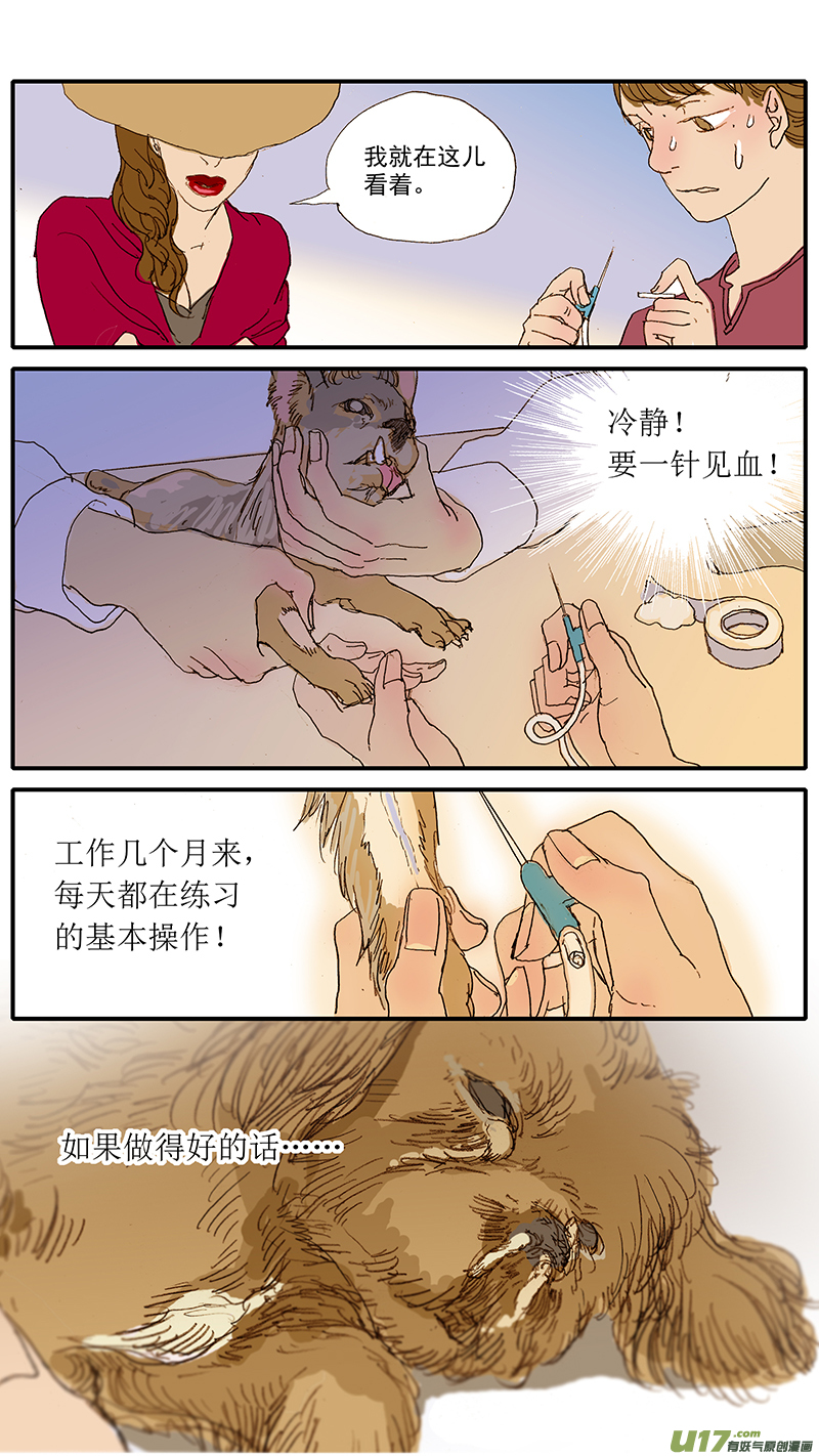 049 安乐死-第49话