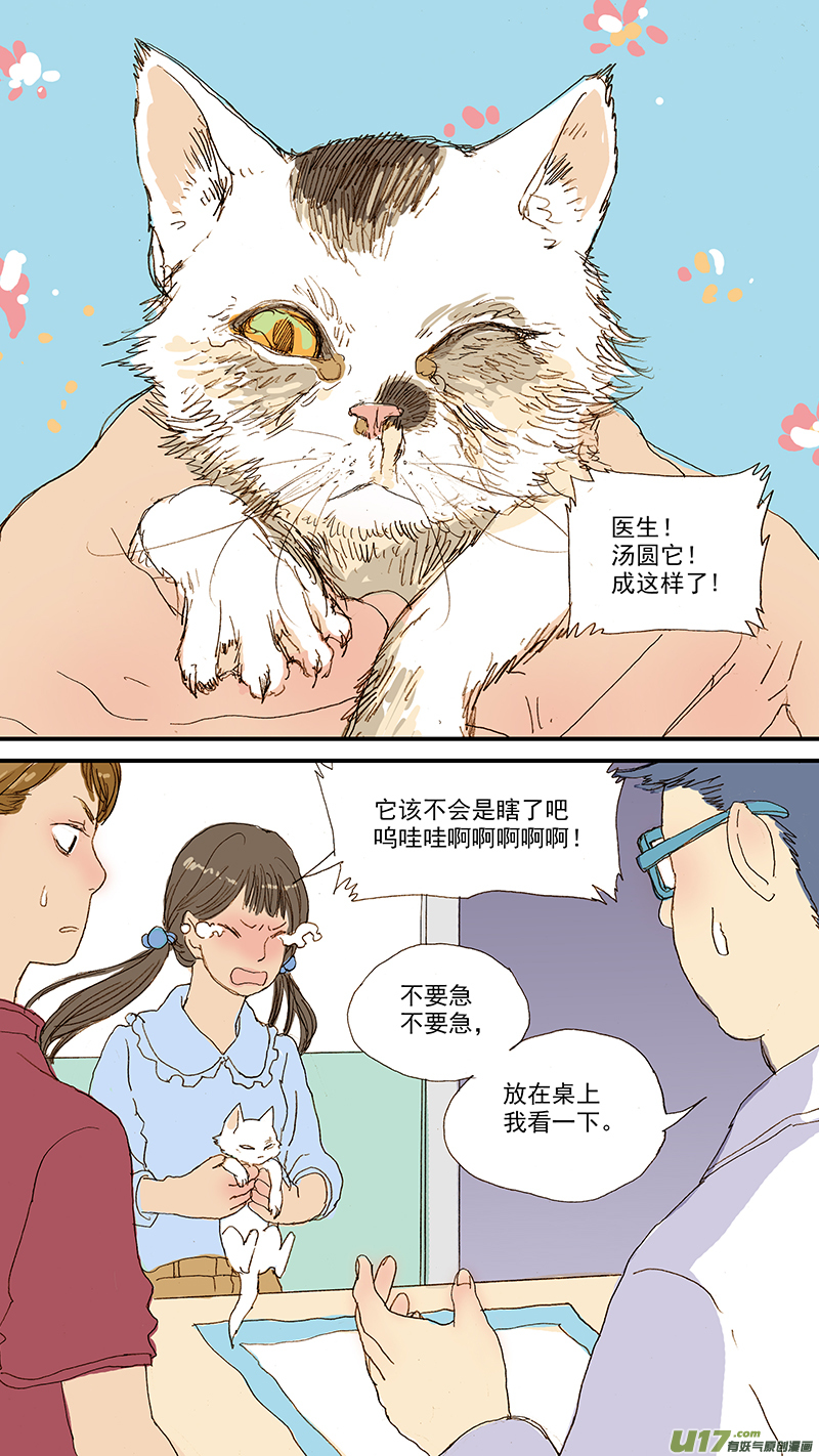 055 幼猫化脓性结膜炎-第55话