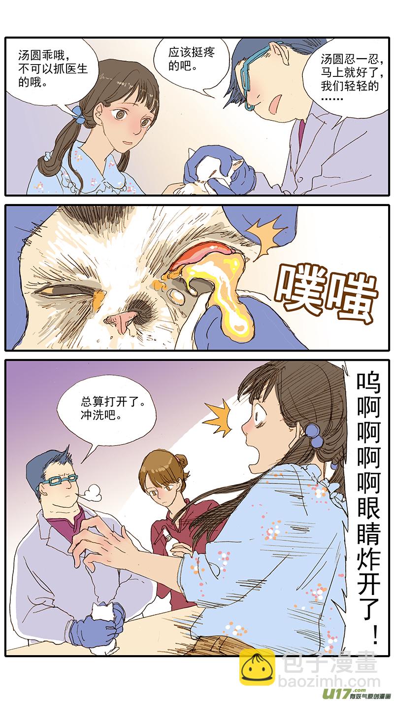 055 幼猫化脓性结膜炎-第55话