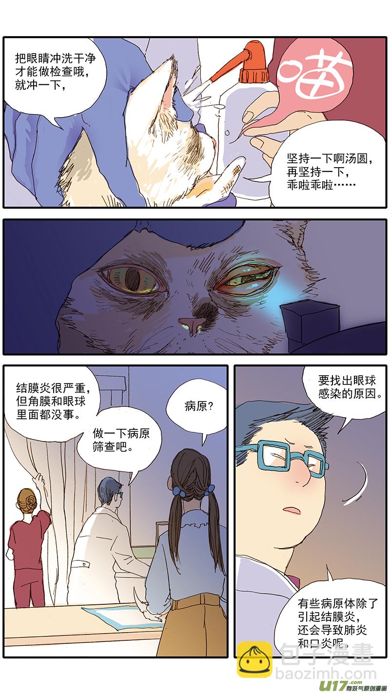 055 幼猫化脓性结膜炎-第55话
