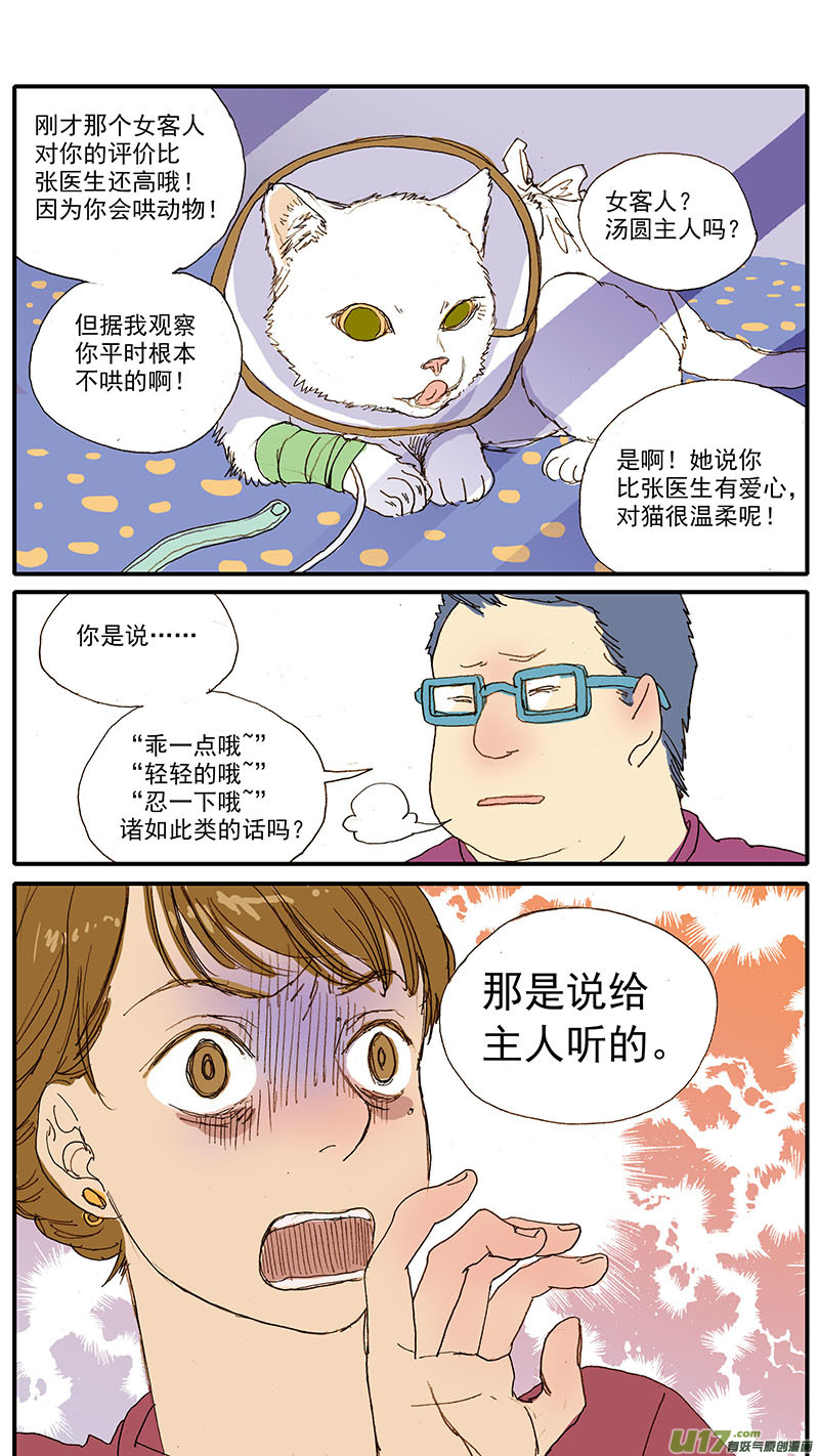 055 幼猫化脓性结膜炎-第55话