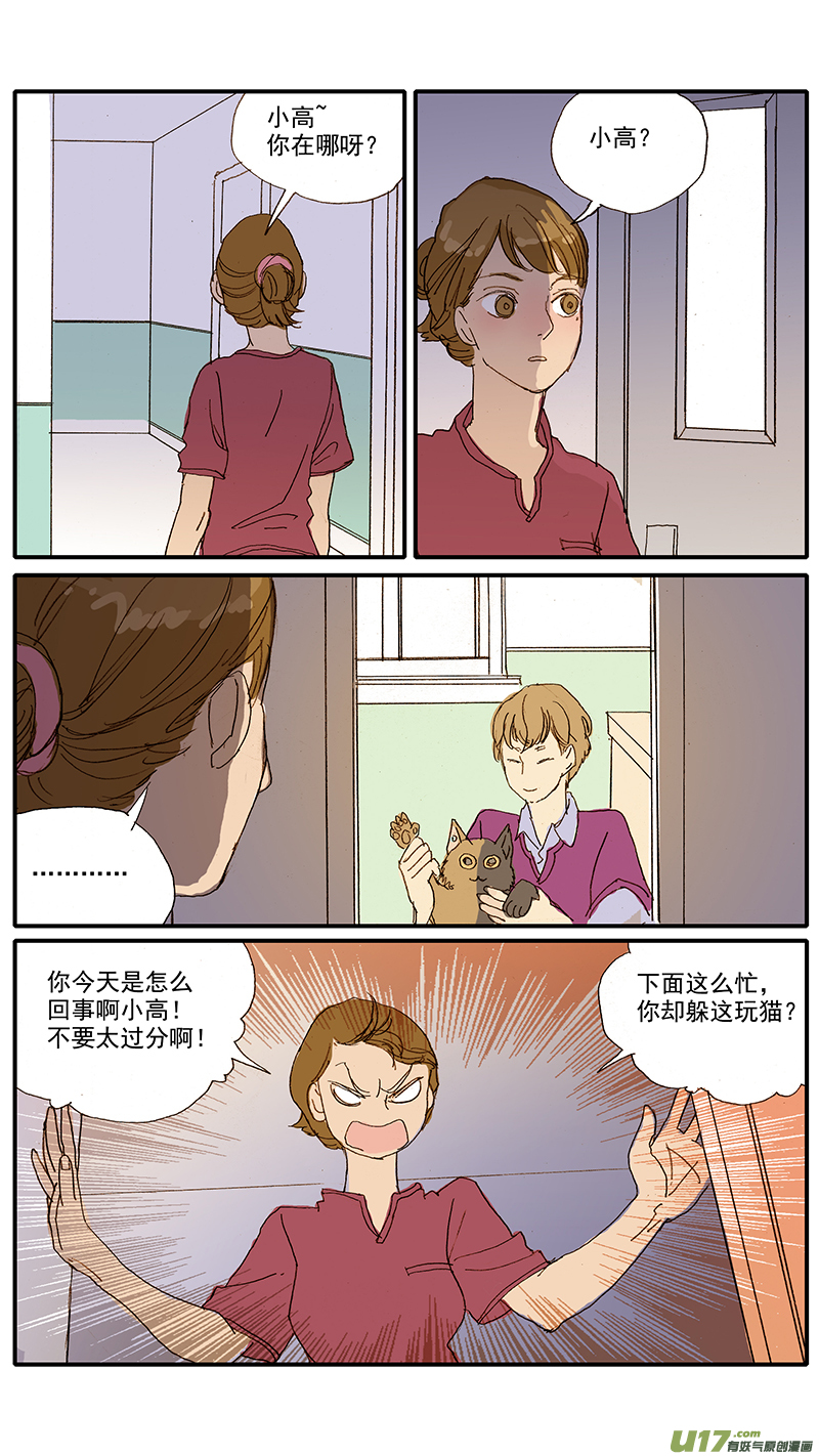 百足寵物診所 - 061 犬小孢子菌（貓癬） - 1