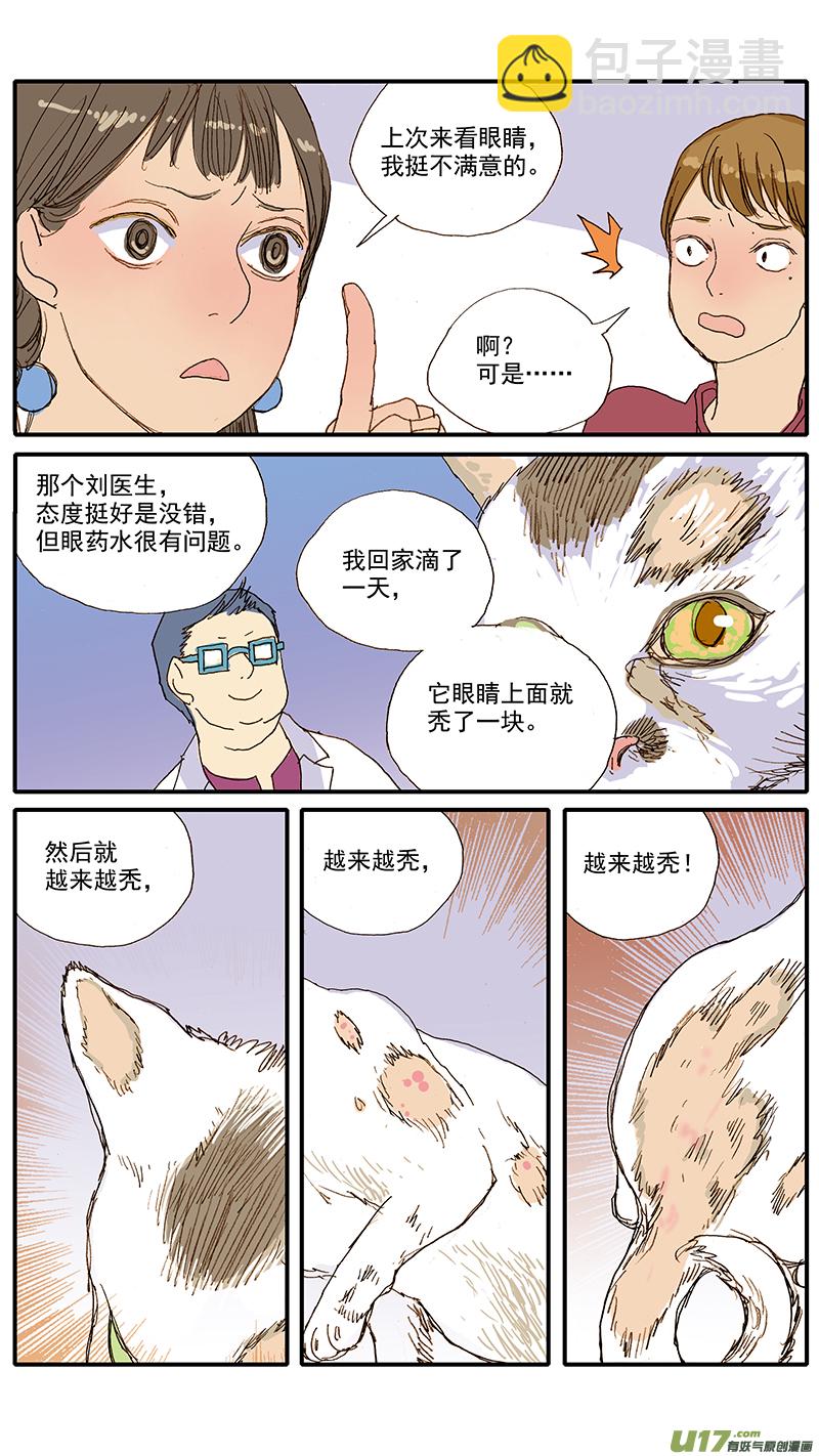 百足寵物診所 - 061 犬小孢子菌（貓癬） - 1