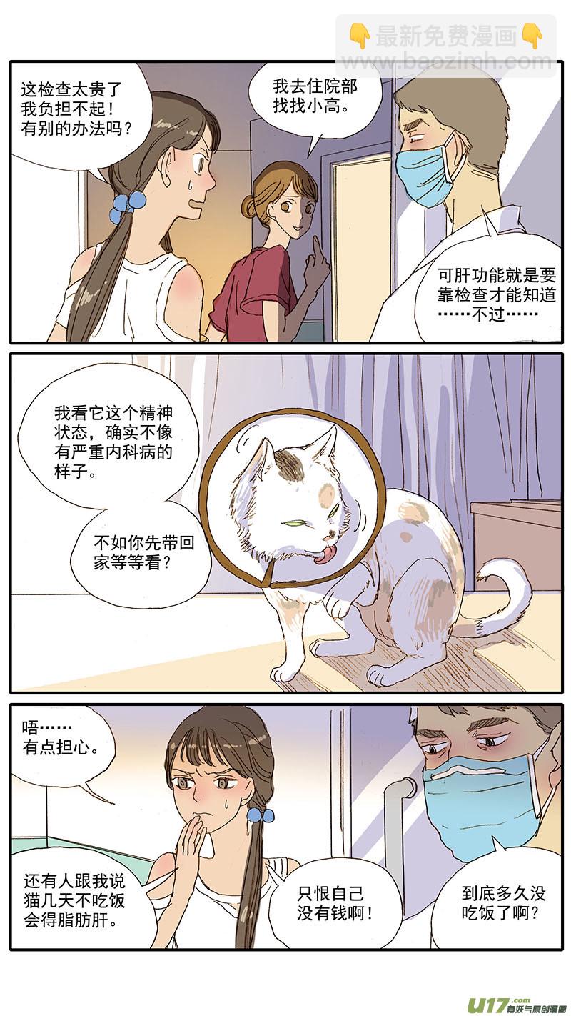 百足寵物診所 - 061 犬小孢子菌（貓癬） - 2