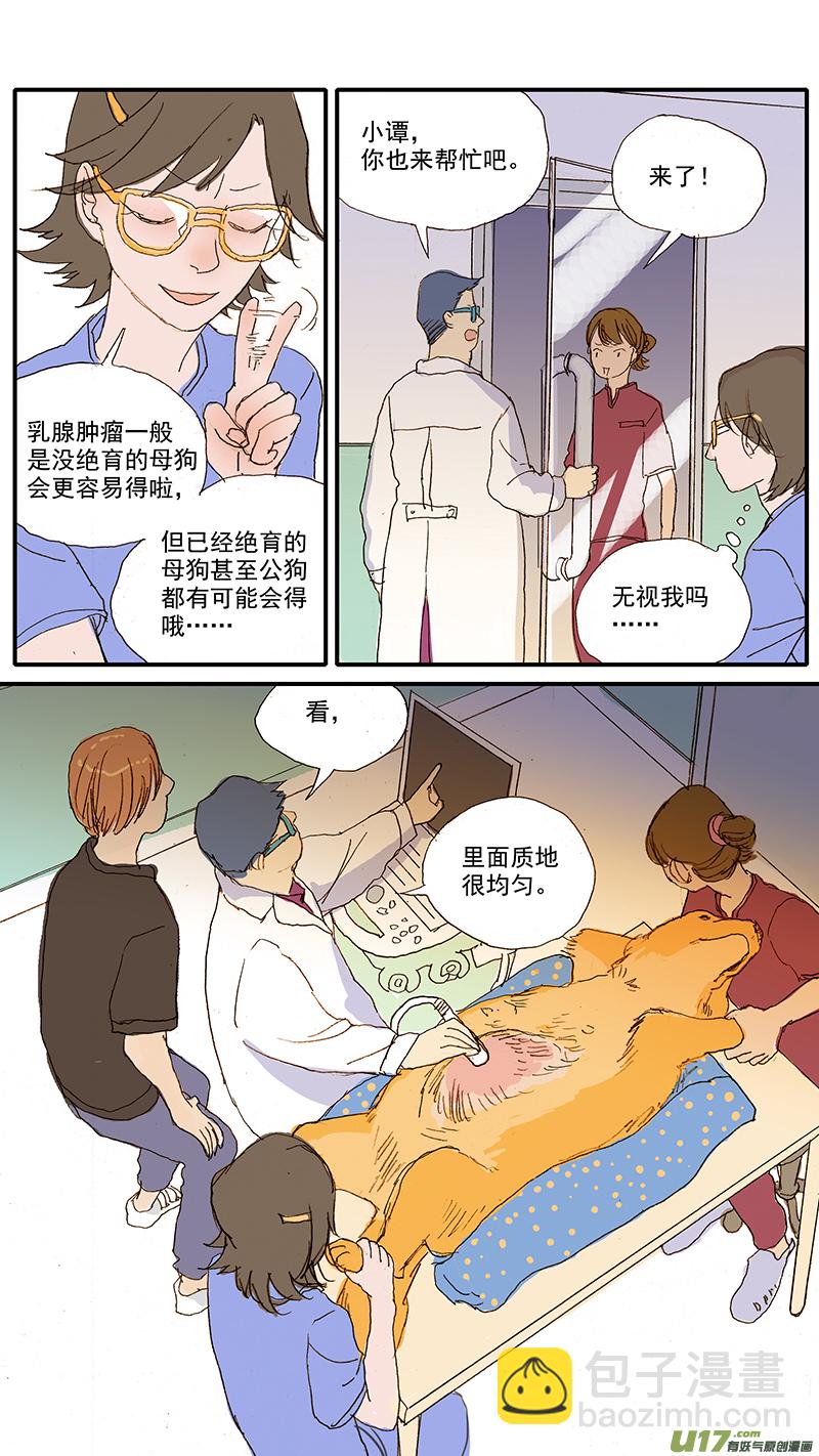 063 肥大细胞瘤-第63话