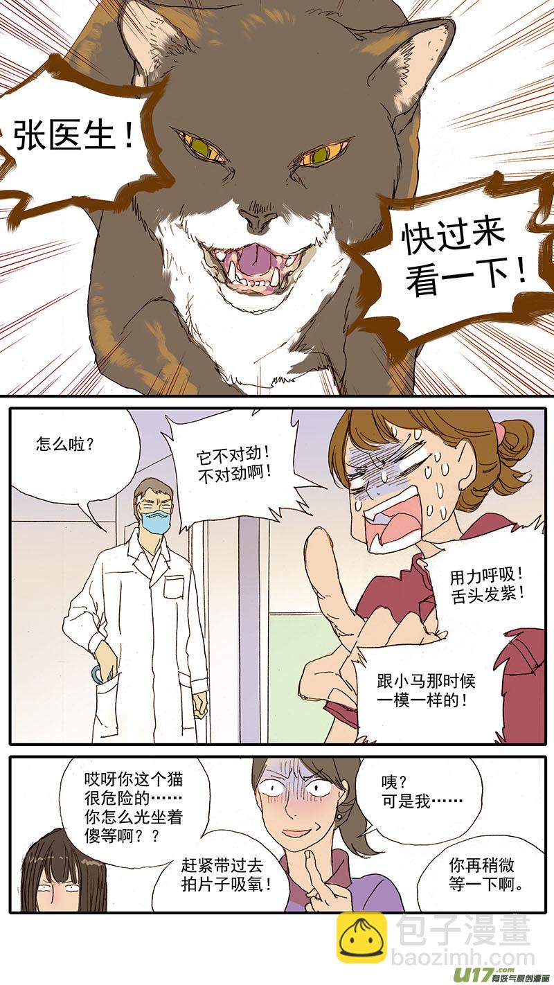 百足寵物診所 - 065 貓胸腔積液 - 2