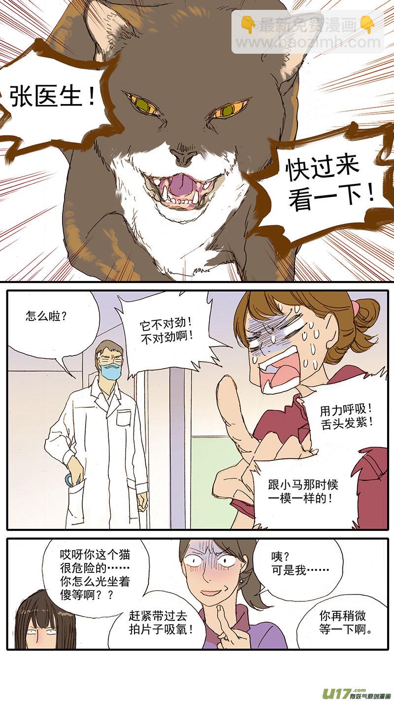 065 猫胸腔积液-第65话
