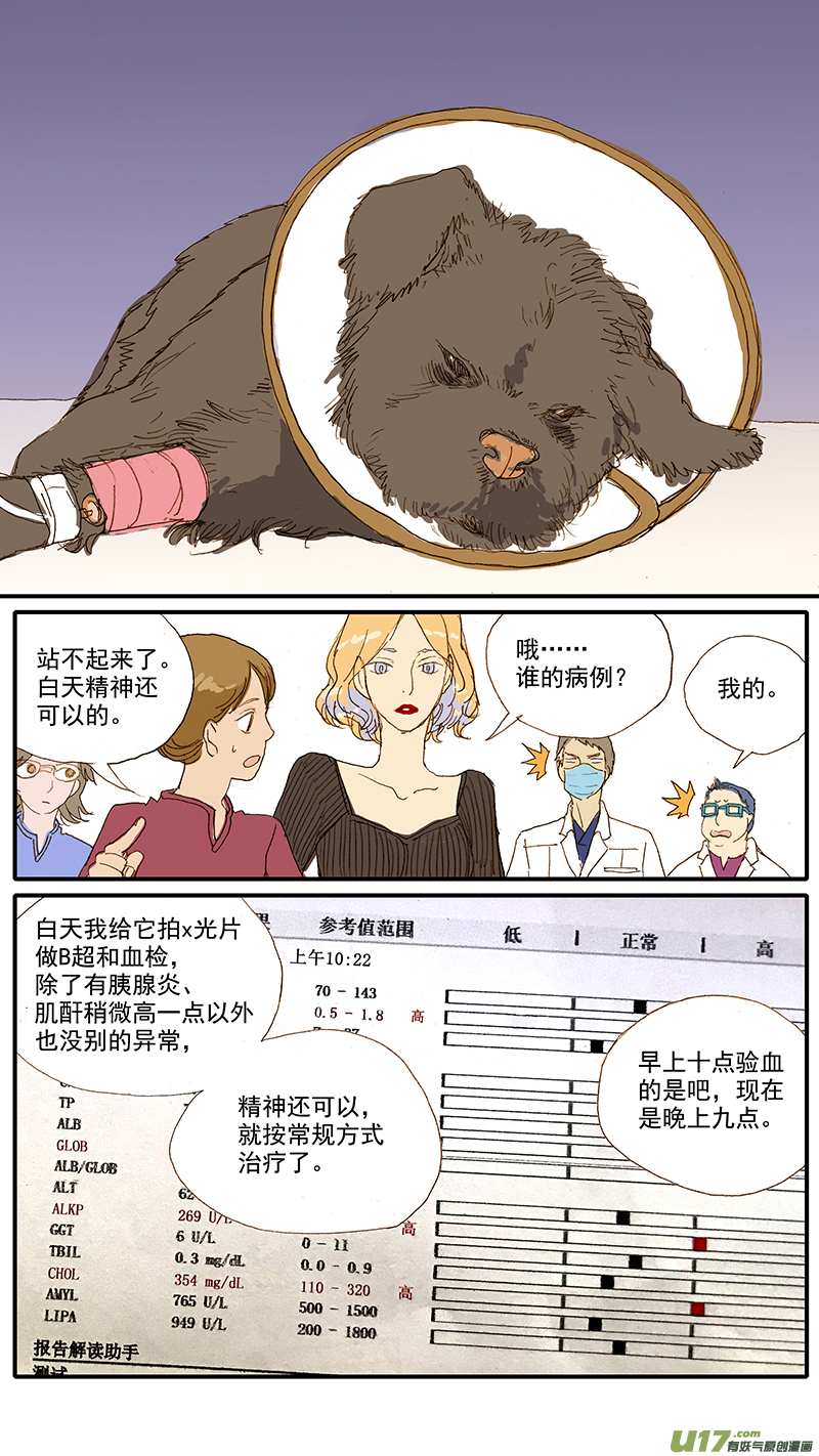 百足寵物診所 - 069 犬胰腺炎 - 1