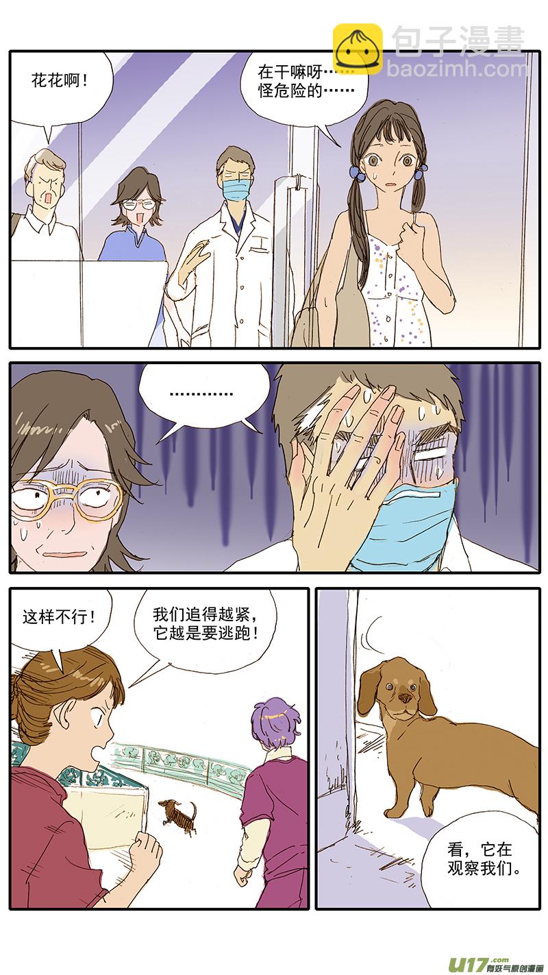 071 就诊动物逃逸-第71话